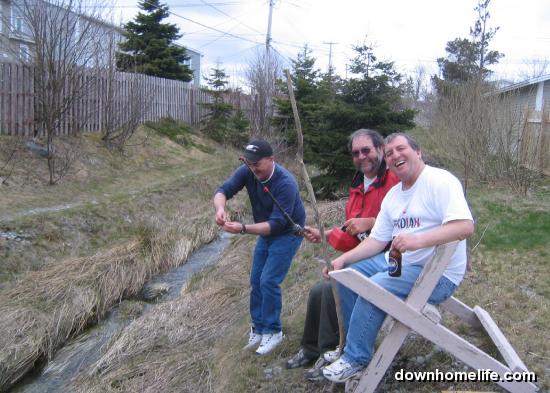Main Gallery Display
