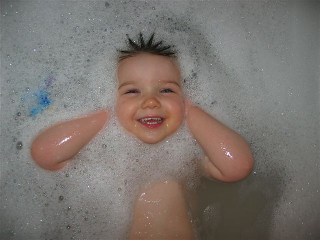 Main Gallery Display