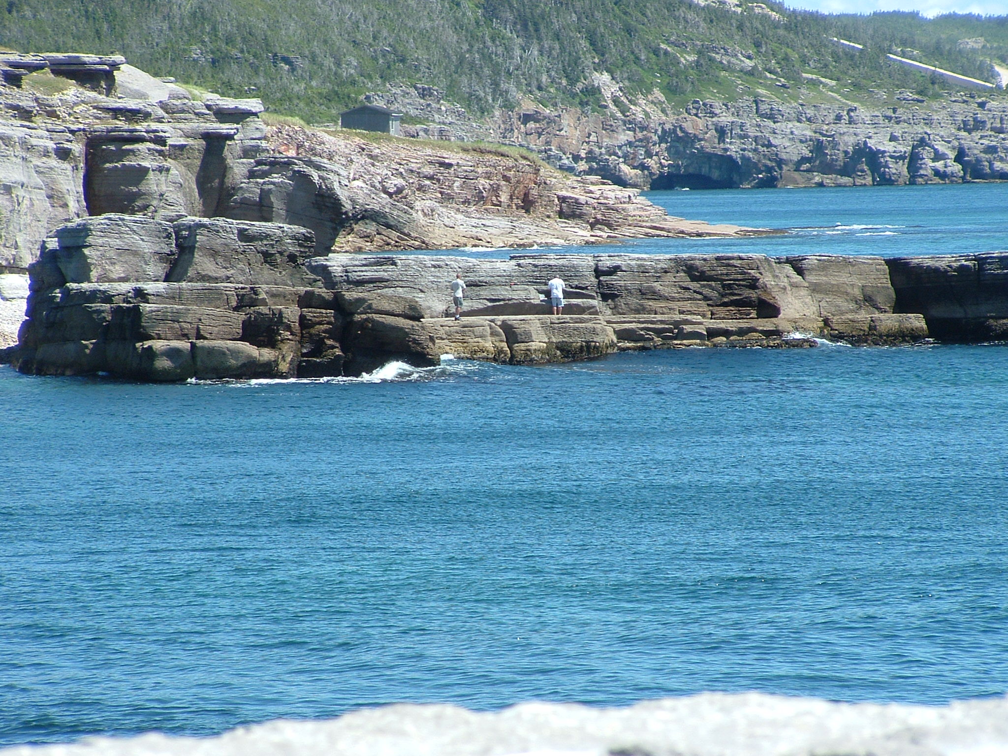 Main Gallery Display