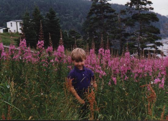 Main Gallery Display