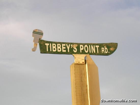 Main Gallery Display