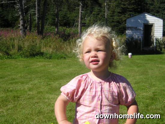 Main Gallery Display