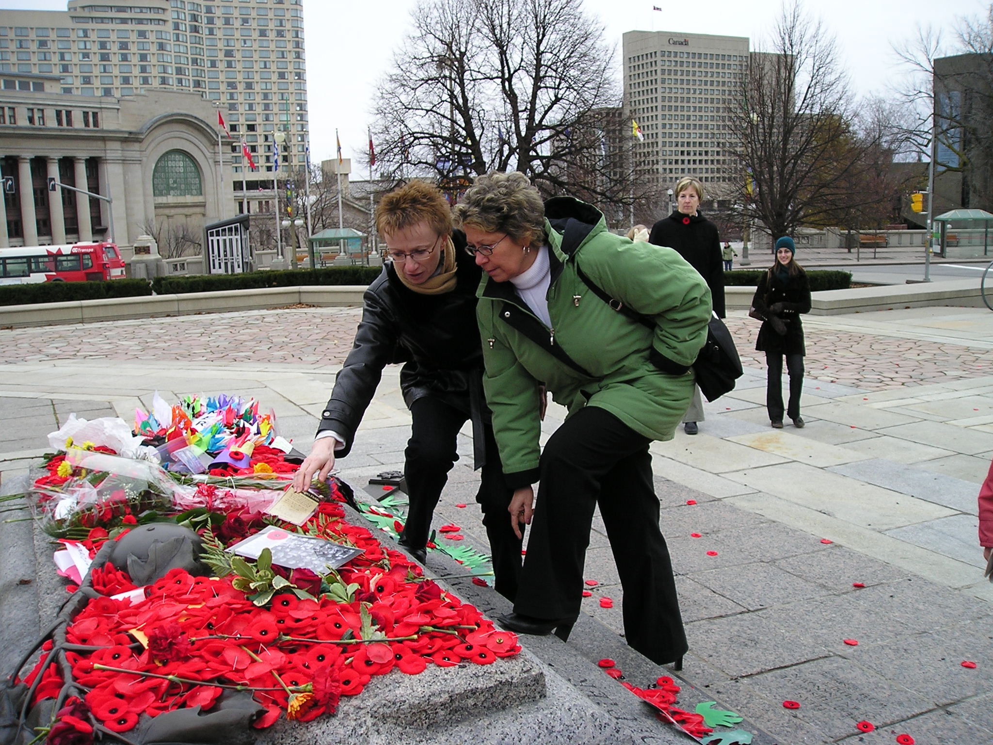 Main Gallery Display