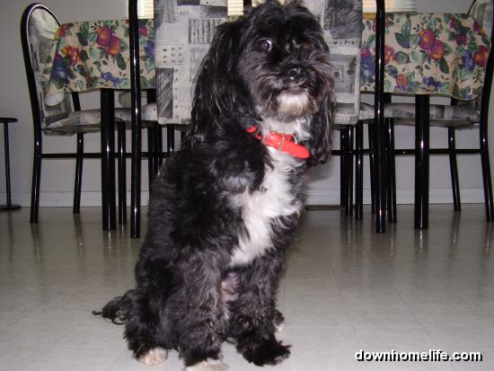 Main Gallery Display