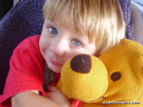 Main Gallery Display