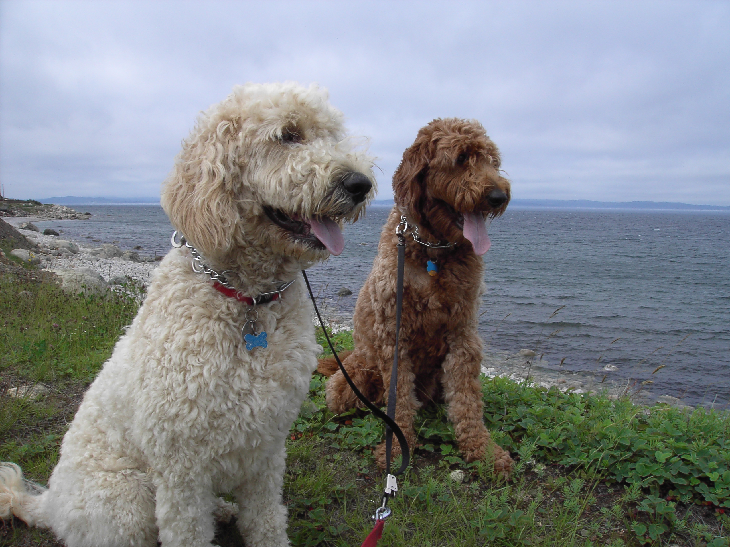 Main Gallery Display