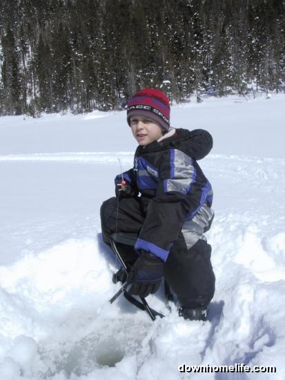 Main Gallery Display