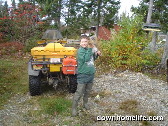 Main Gallery Display