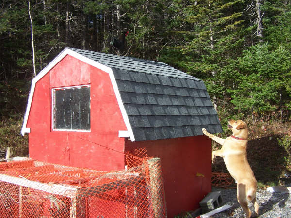 Main Gallery Display