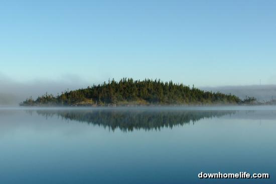 Main Gallery Display
