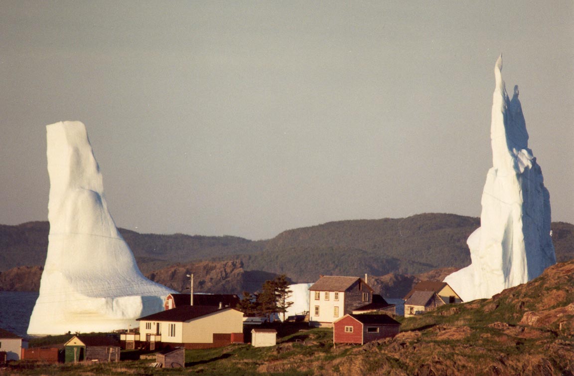 Main Gallery Display