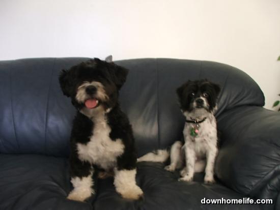 Main Gallery Display