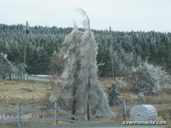 Main Gallery Display