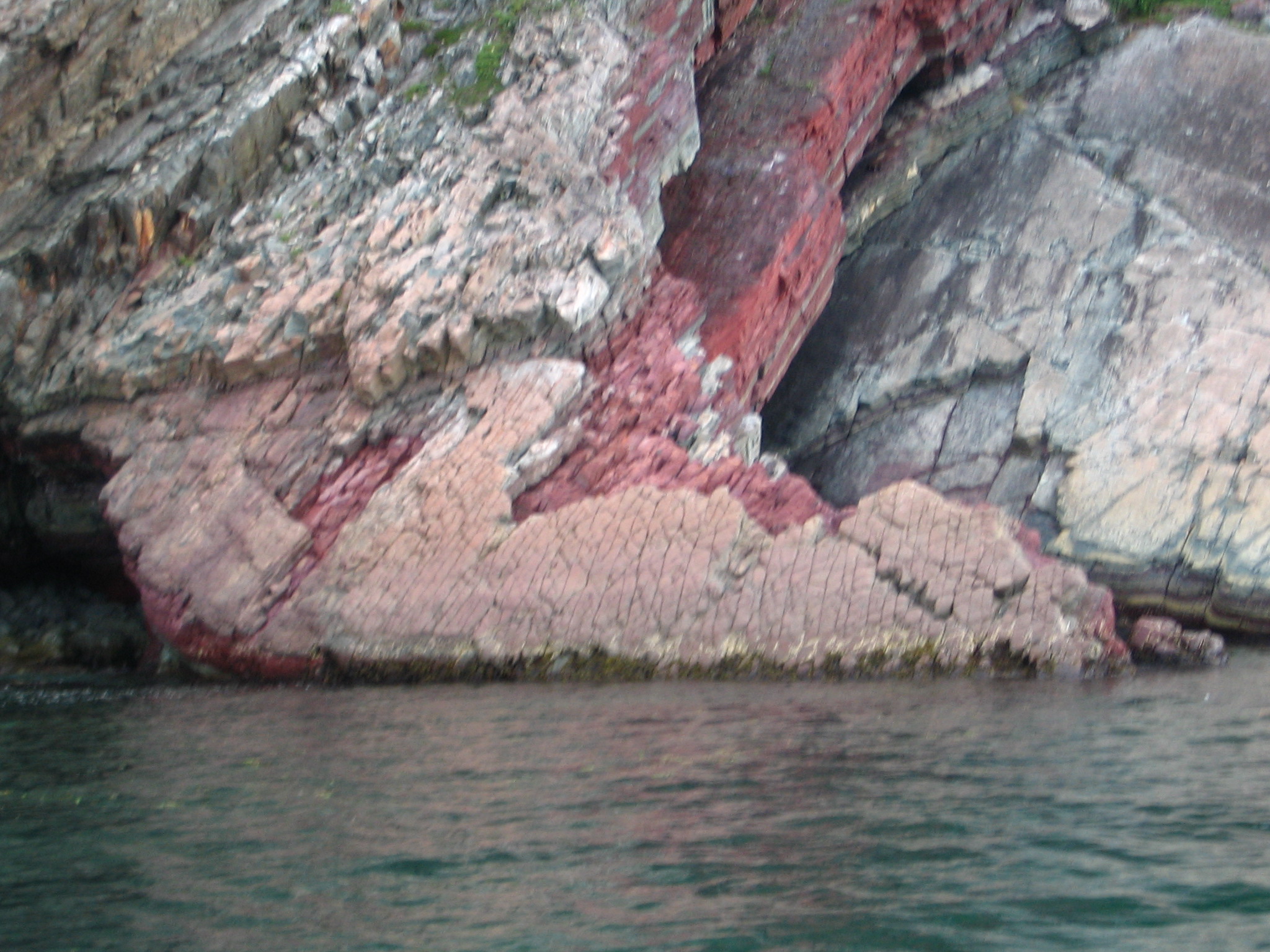 Main Gallery Display