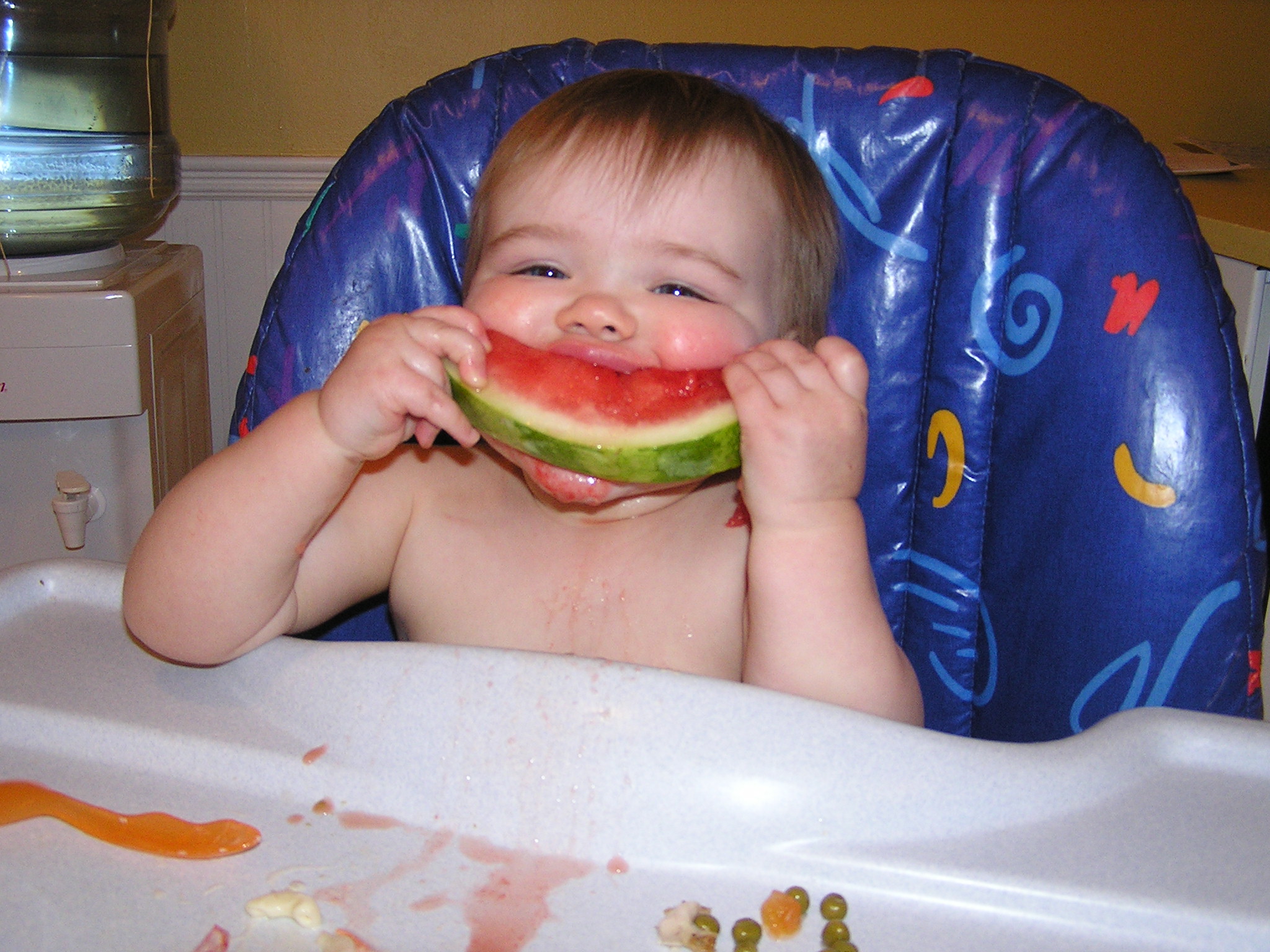 Main Gallery Display