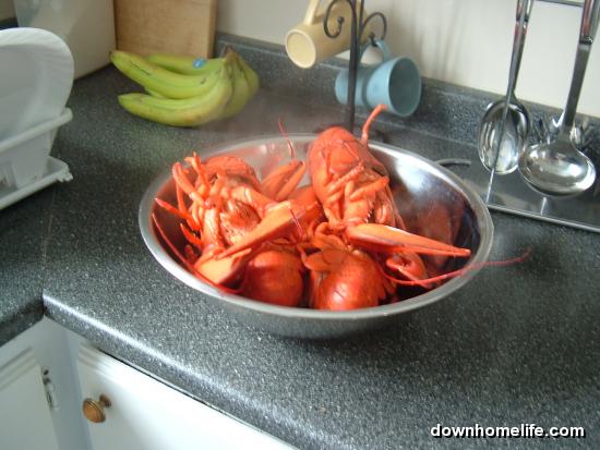 Main Gallery Display