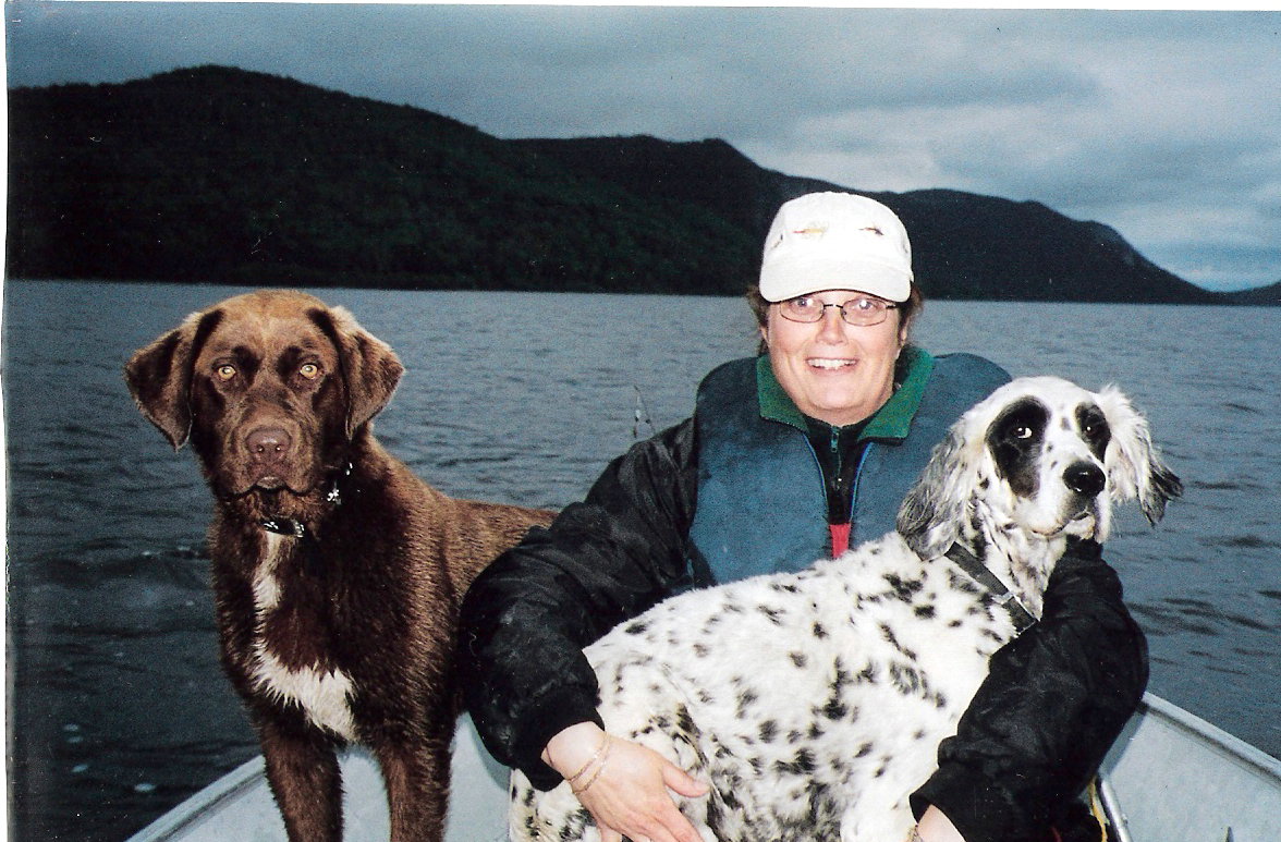 Main Gallery Display