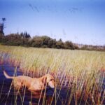 Thumbnail Preview