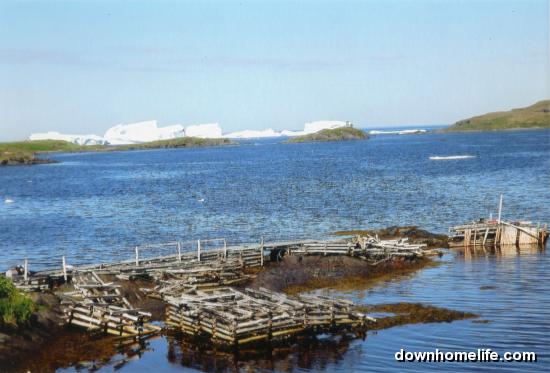 Main Gallery Display