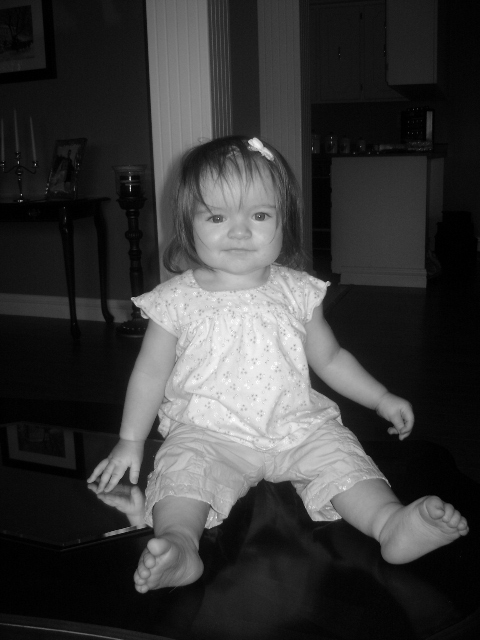 Main Gallery Display