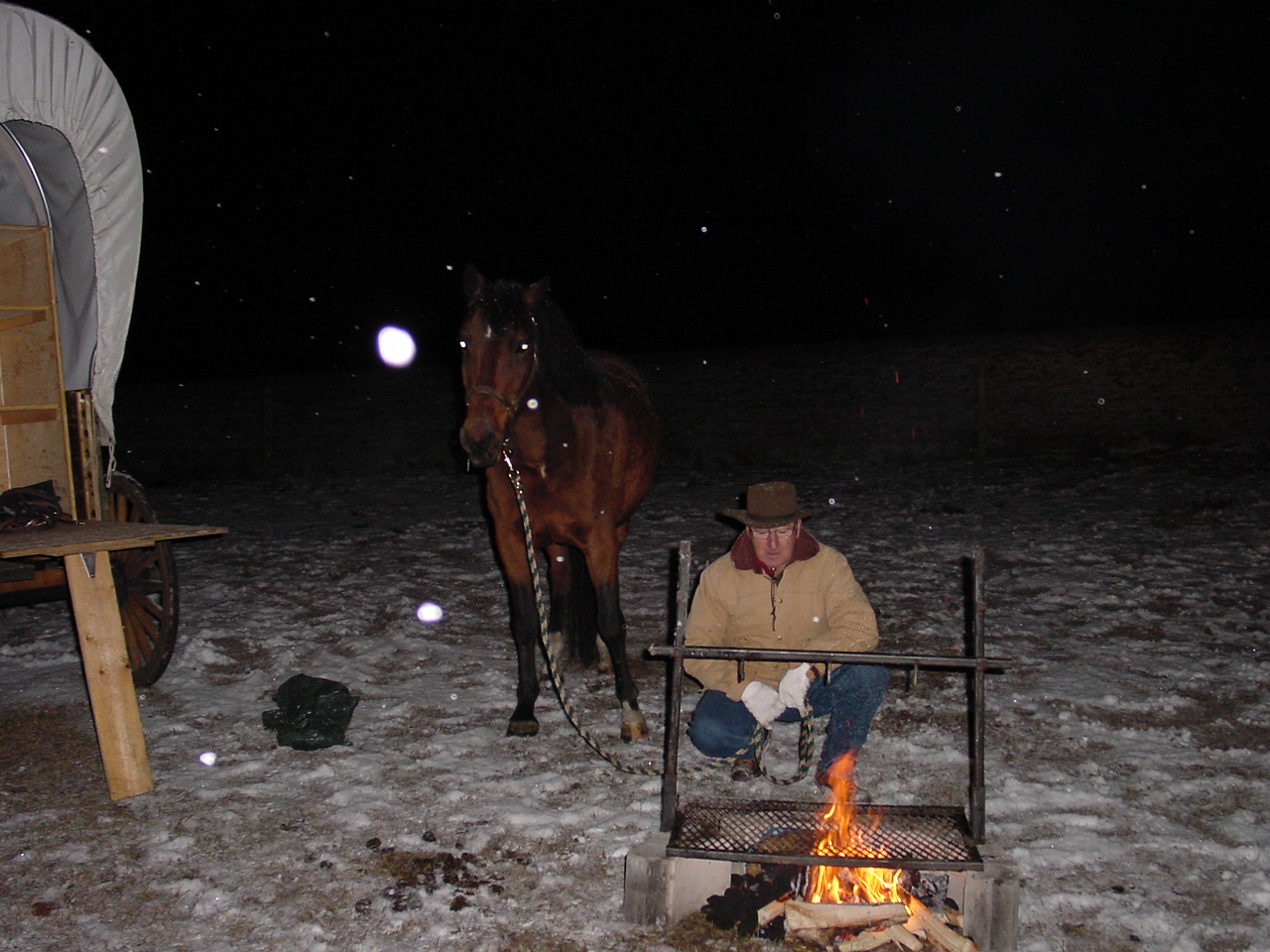 Main Gallery Display