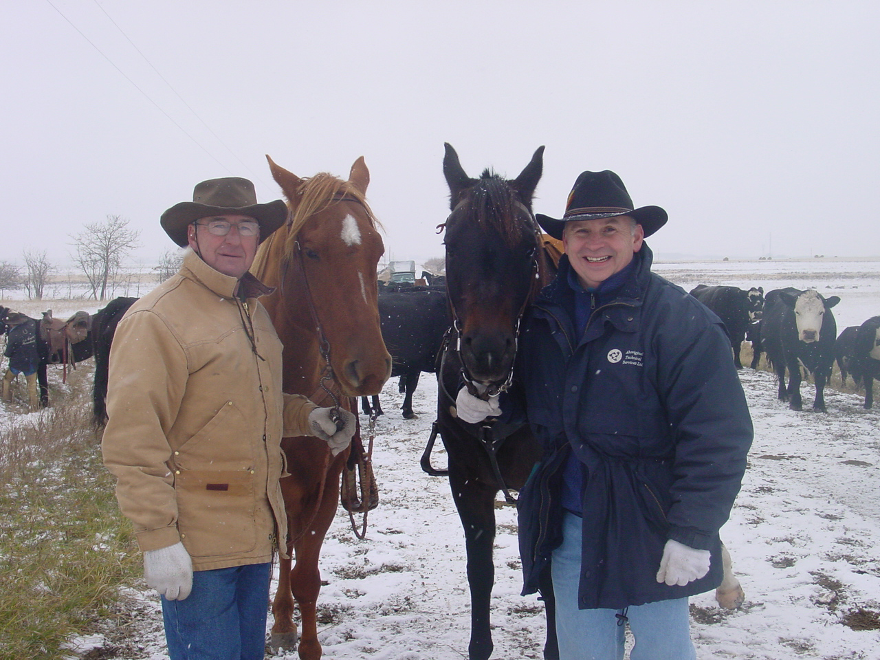 Main Gallery Display