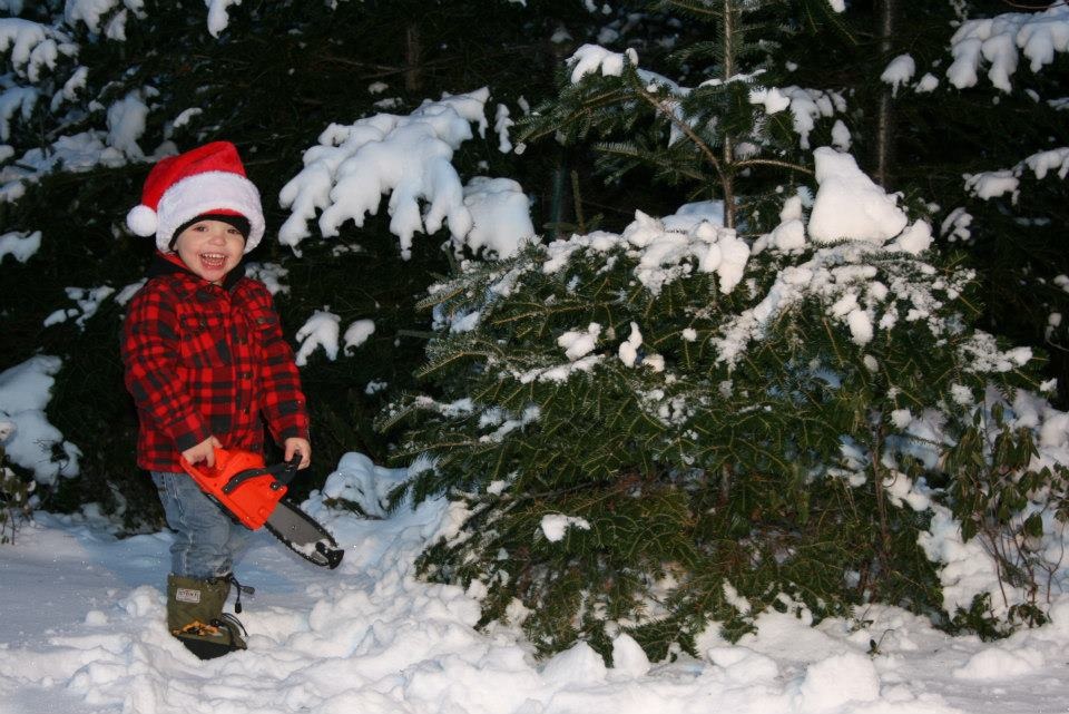 Main Gallery Display
