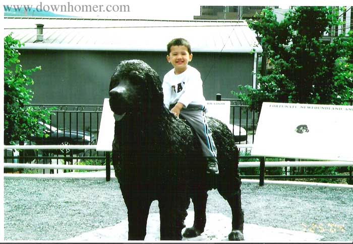 Main Gallery Display