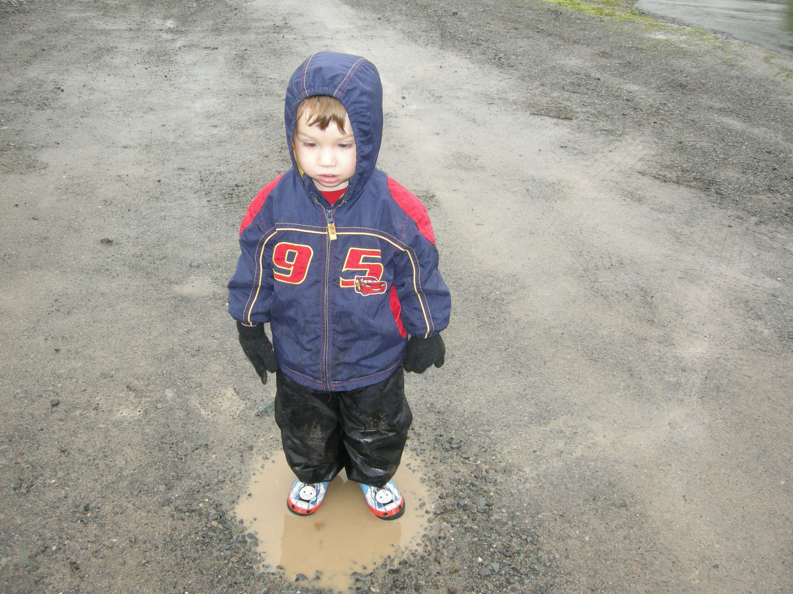 Main Gallery Display