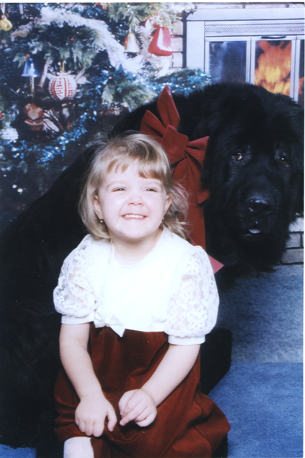 Main Gallery Display