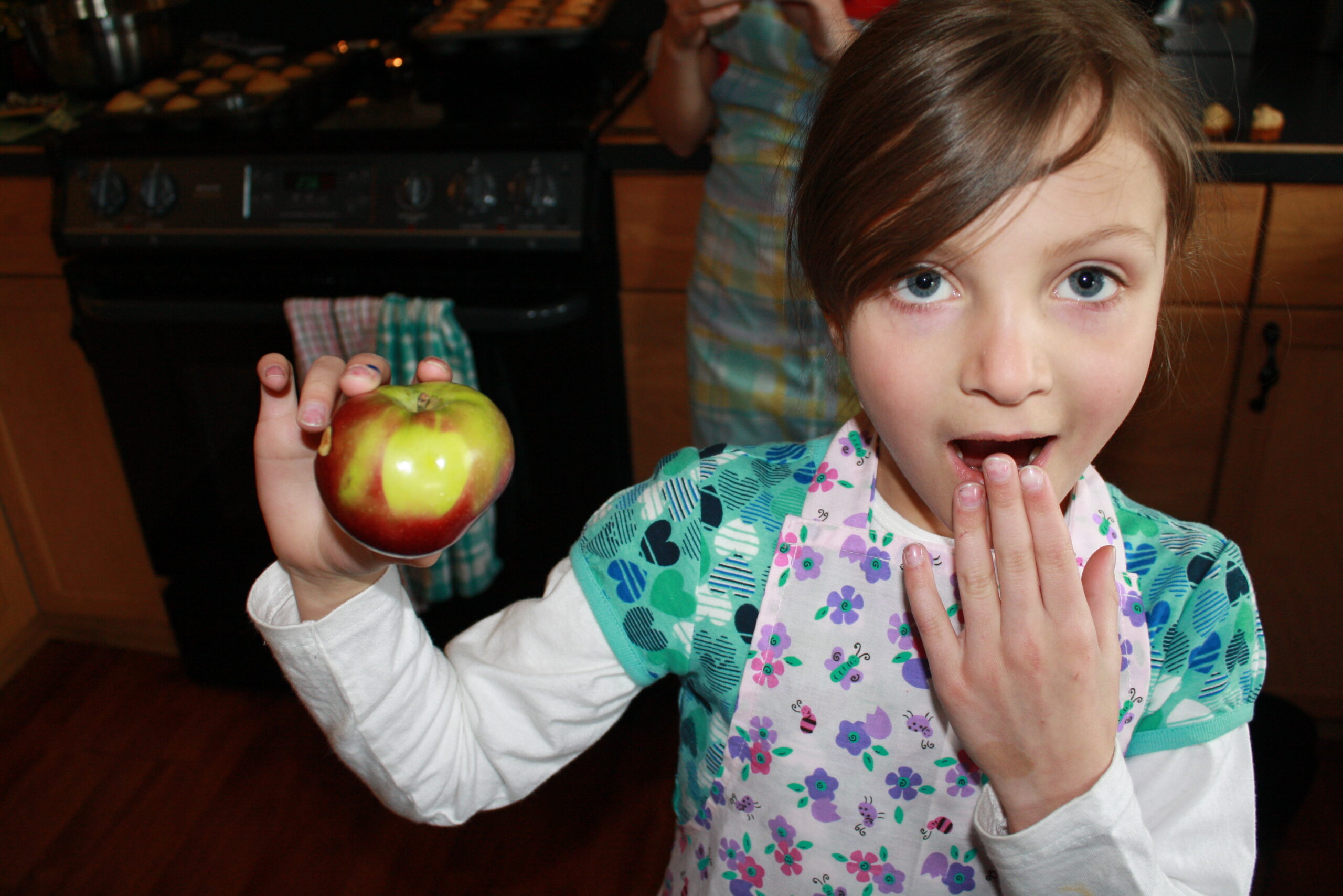 Main Gallery Display