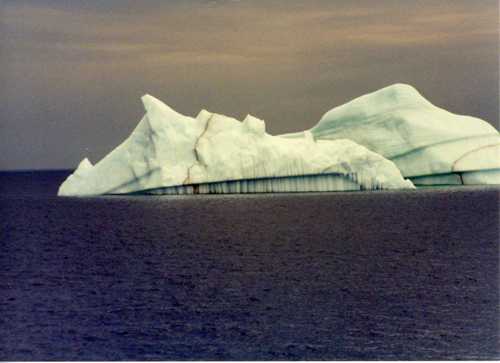 Main Gallery Display