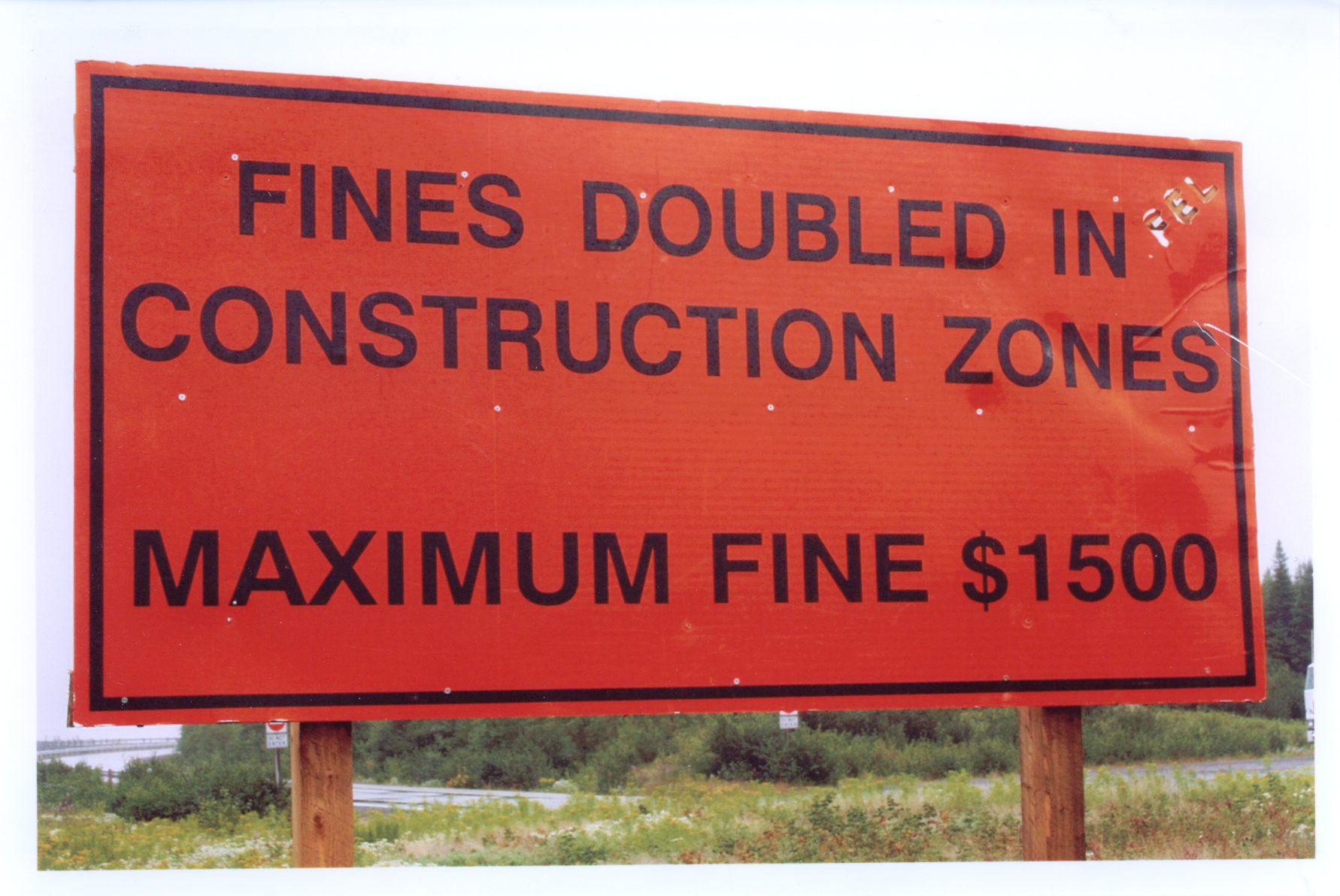 Main Gallery Display