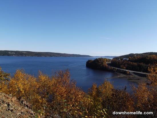 Main Gallery Display