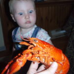 Thumbnail Preview