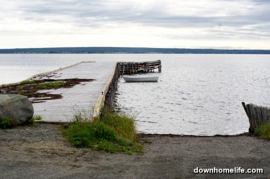 Main Gallery Display