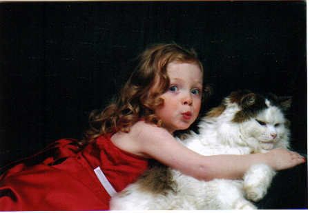 Main Gallery Display