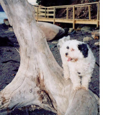 Main Gallery Display