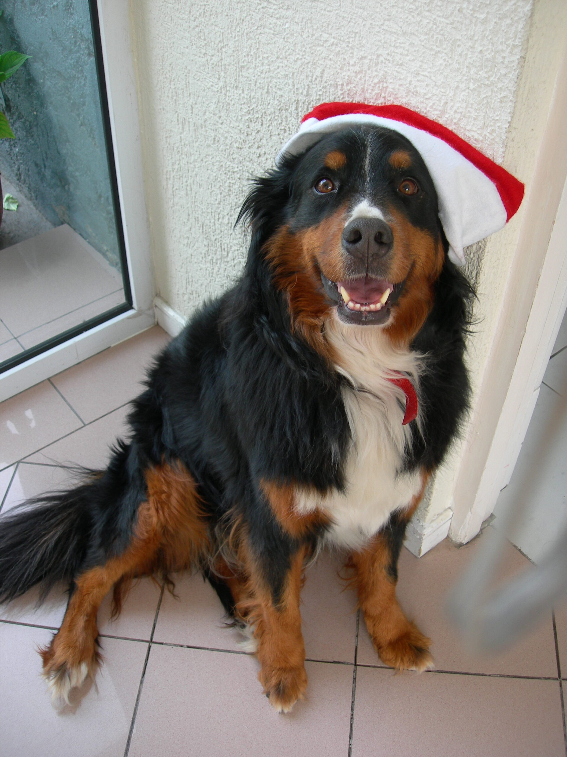 Main Gallery Display