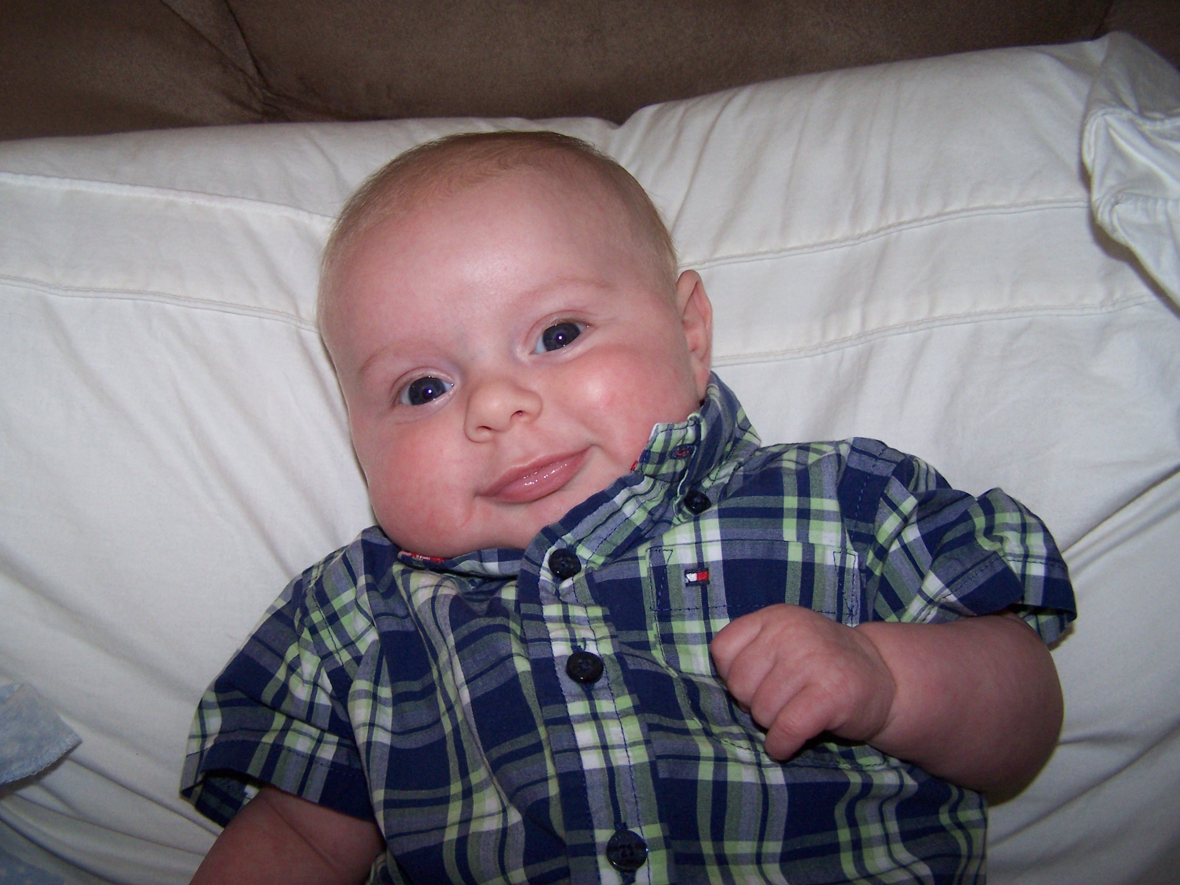 Main Gallery Display