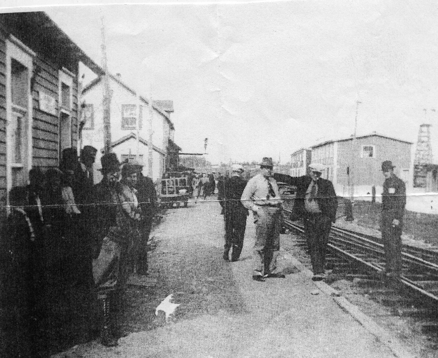 Main Gallery Display