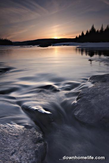 Main Gallery Display