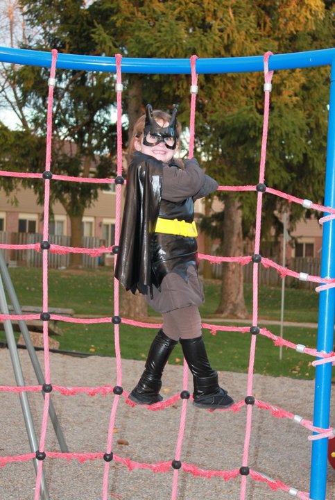 Main Gallery Display