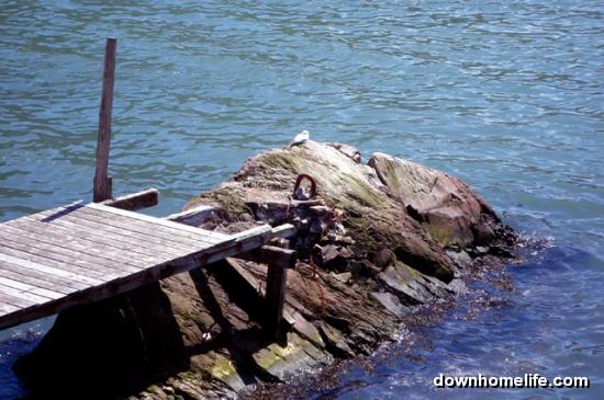 Main Gallery Display