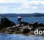 Thumbnail Preview