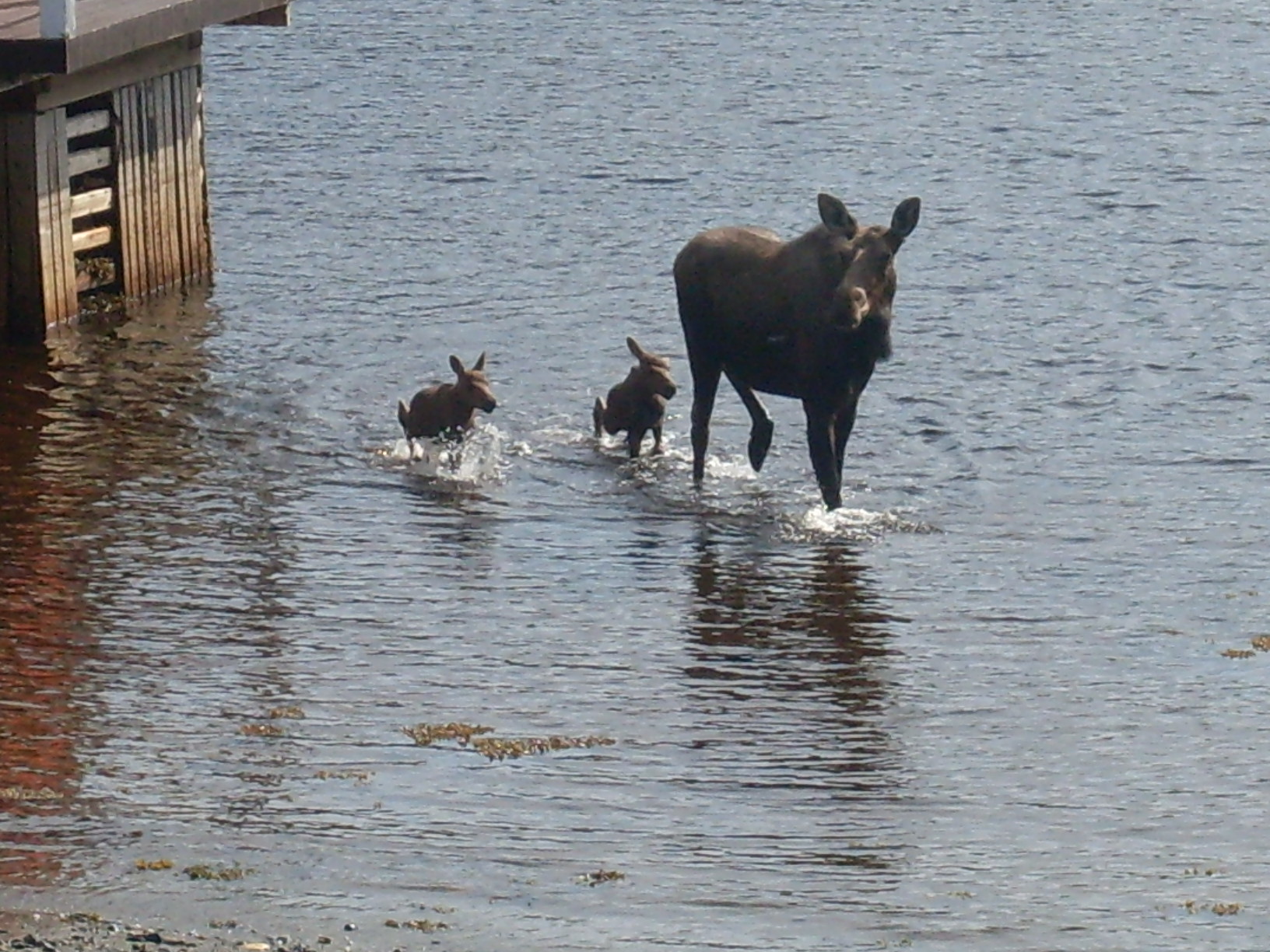 Main Gallery Display