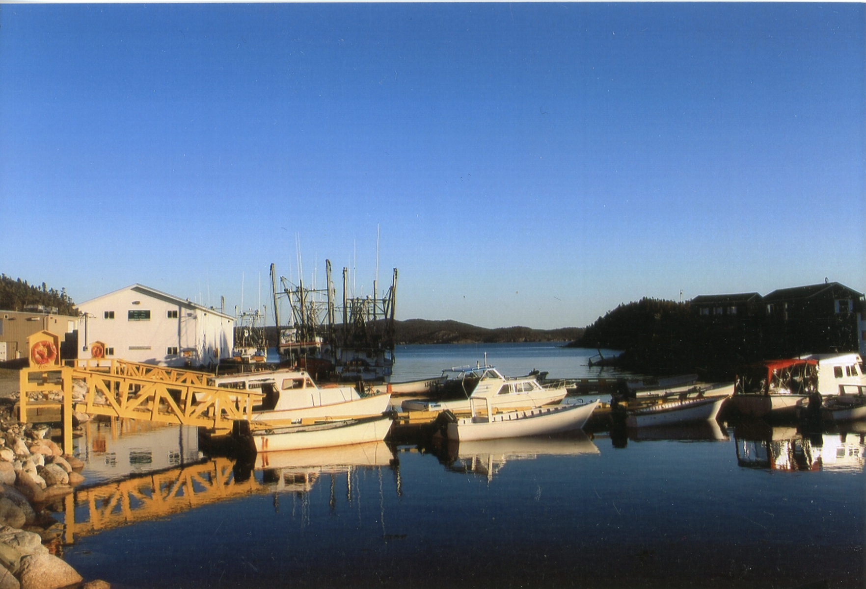 Main Gallery Display