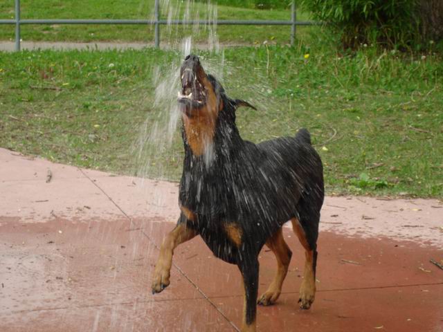 Main Gallery Display