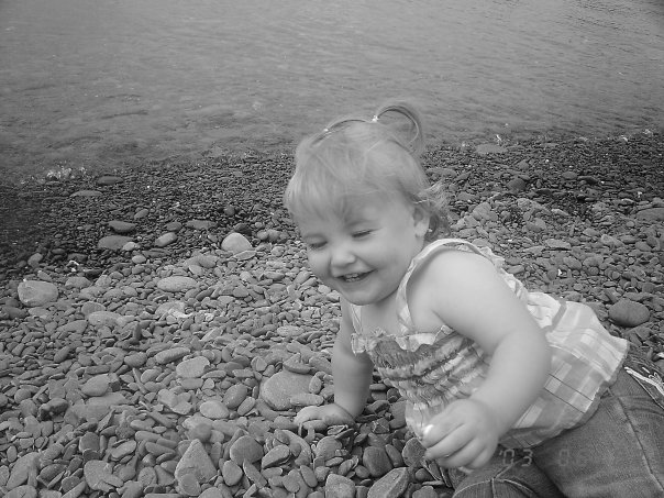 Main Gallery Display