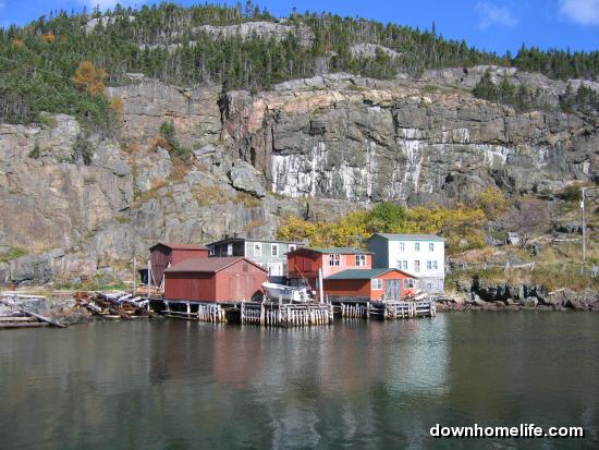 Main Gallery Display